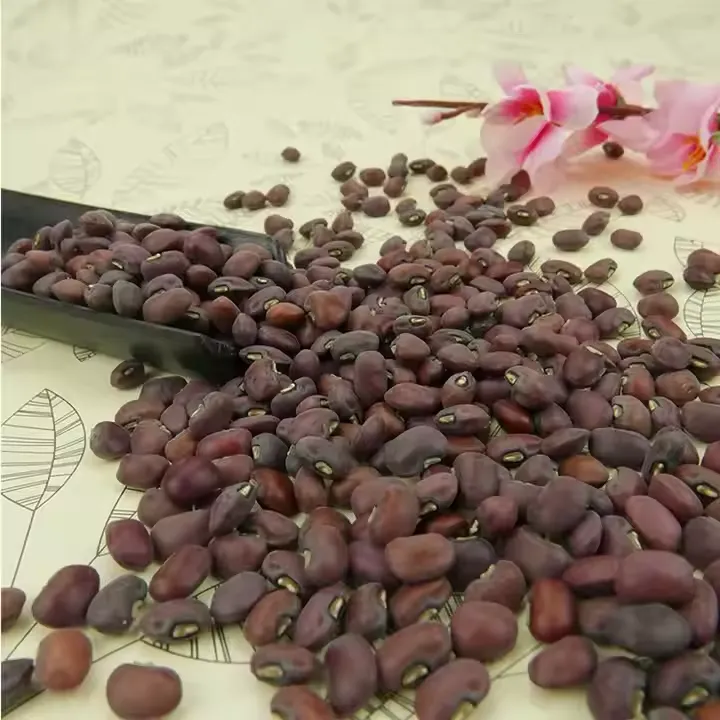 pro_2e1_RED-COW-BEANS.webp