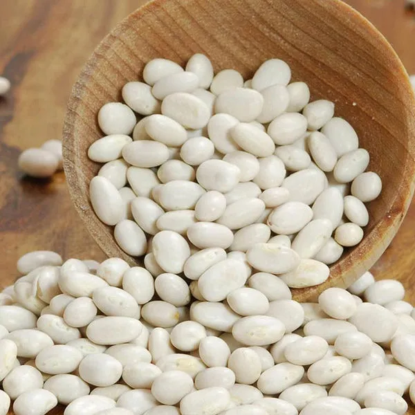 pro_abd_WHITE-BEANS.webp