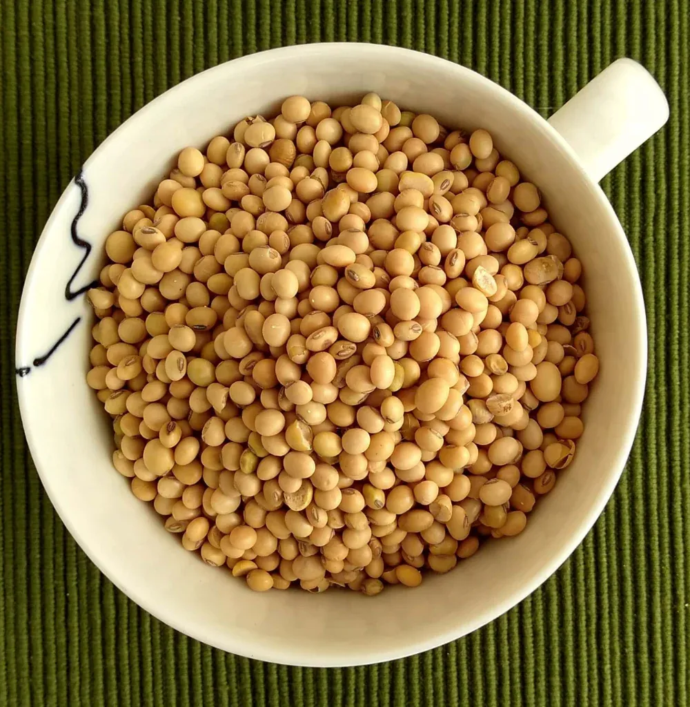 pro_fee_SOYA-BEAN.webp